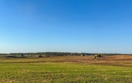 Open green field and blue sky rural landscape